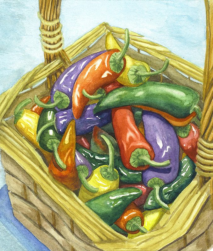 colored hot peppers basket 3